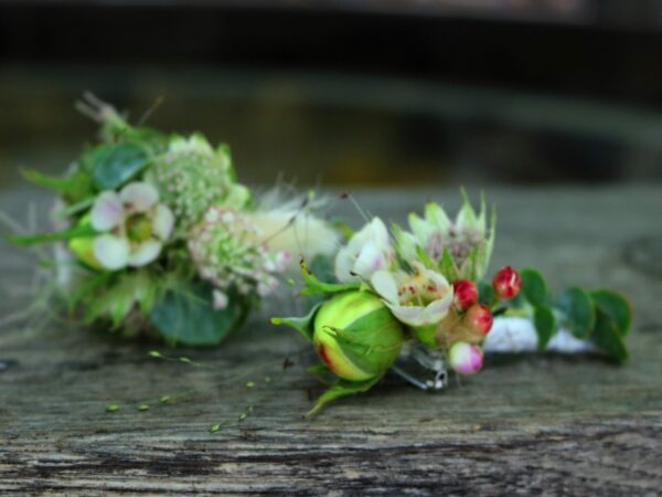 Anstecker mit Rosenknospen